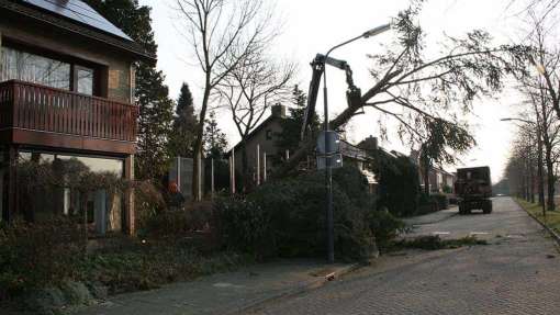 Kloosterhaar bomen rooien